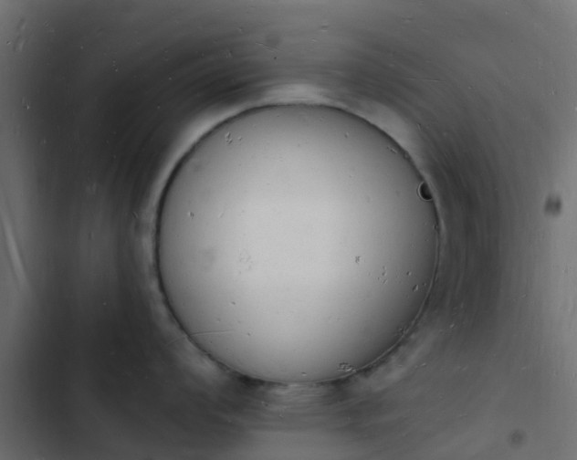 X0000103971008200809261830