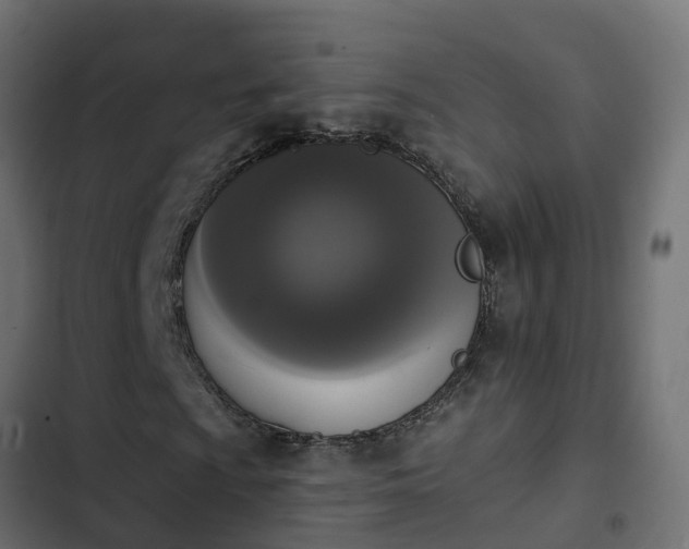 X0000103971009200809261829