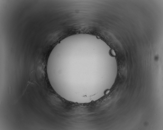 X0000103971010200809261829