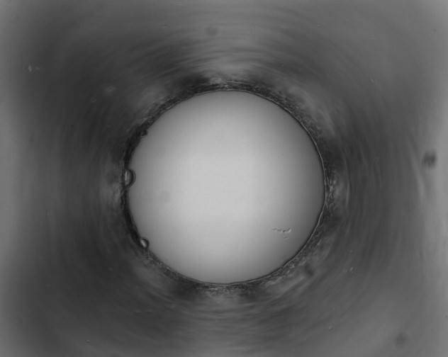 X0000103971012200809261829