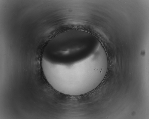 X0000103971013200809261829