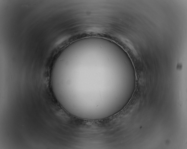 X0000103971015200809261829