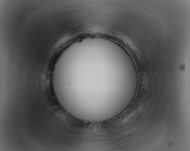 X0000103971016200809261829