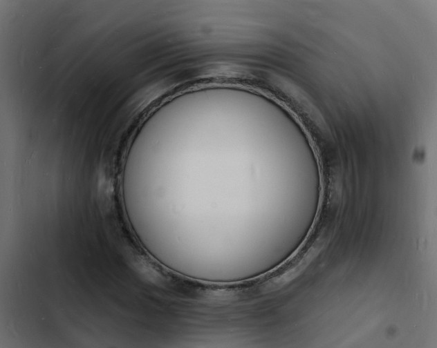 X0000103971017200809261829