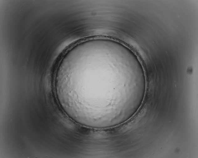 X0000103971019200809261829