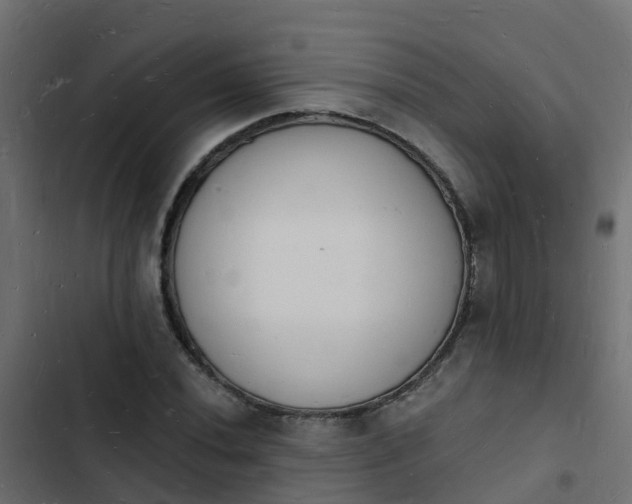 X0000103971020200809261829