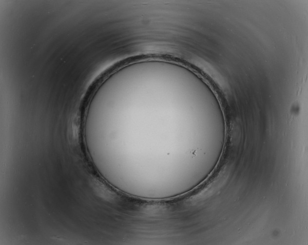 X0000103971021200809261829