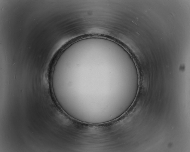 X0000103971022200809261829