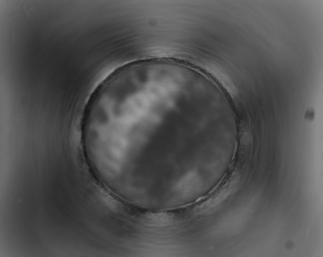 X0000103971023200809261829