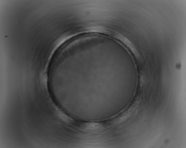 X0000103971024200809261829