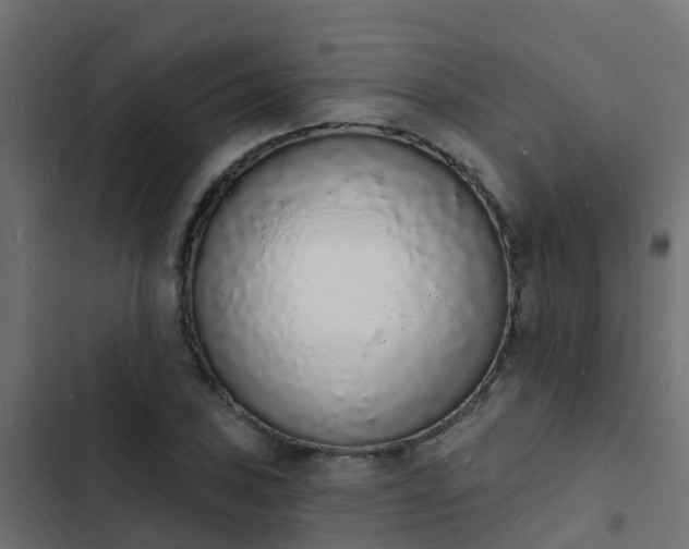 X0000103971027200809261829