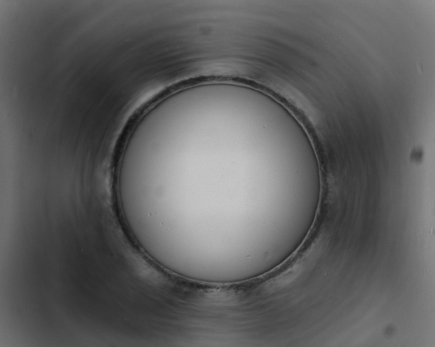 X0000103971029200809261829