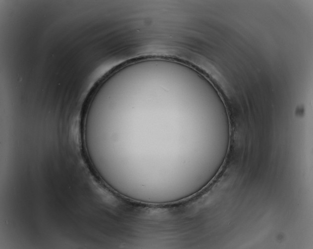 X0000103971030200809261830