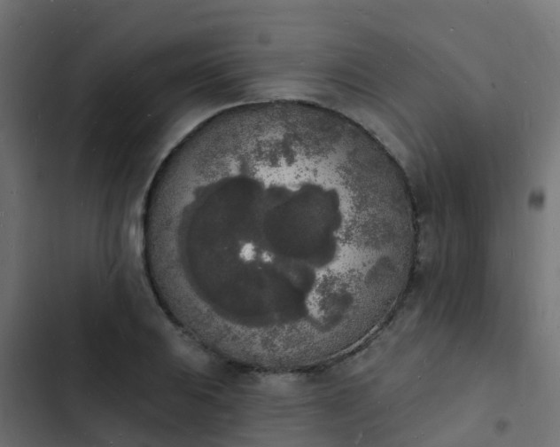 X0000103971031200809261830