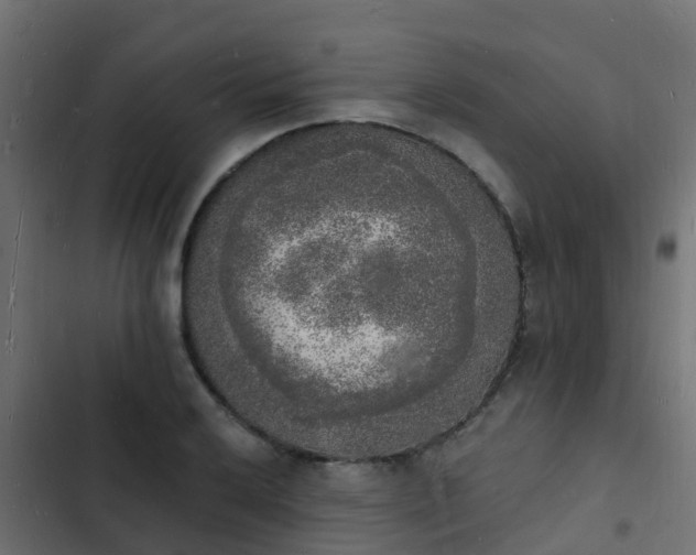 X0000103971032200809261830