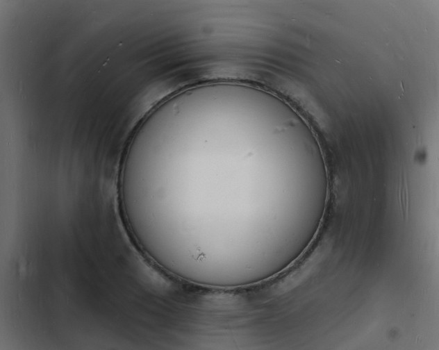 X0000103971033200809261830