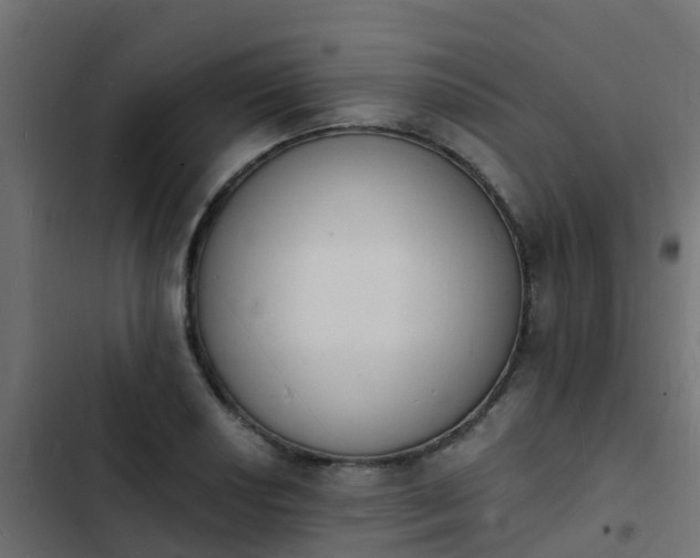 X0000103971034200809261830