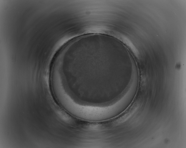 X0000103971035200809261830