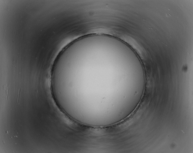 X0000103971040200809261830