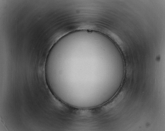 X0000103971041200809261830