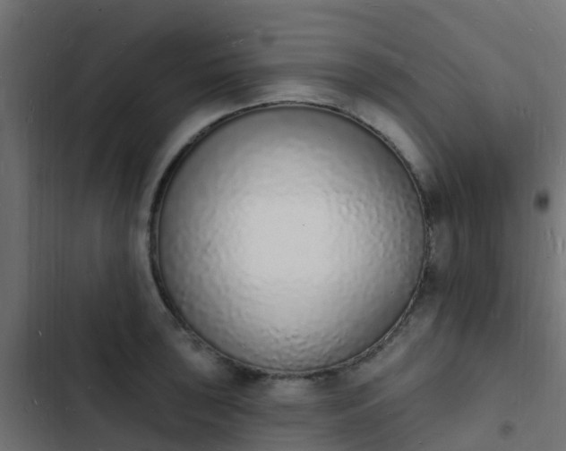 X0000103971043200809261830