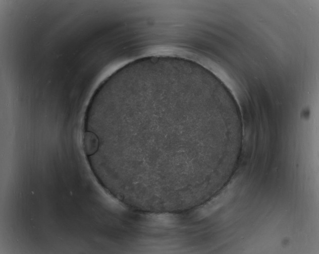 X0000103971045200809261830