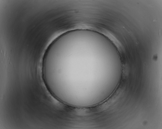 X0000103971046200809261830