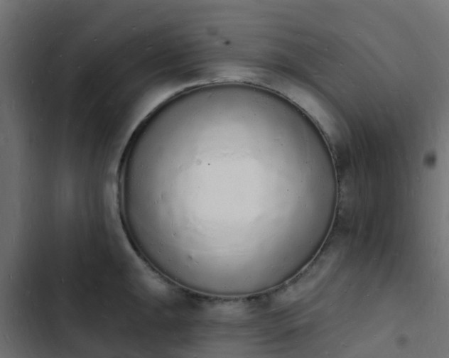 X0000103971047200809261830