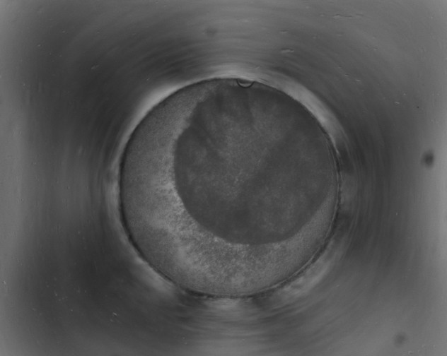 X0000103971048200809261830