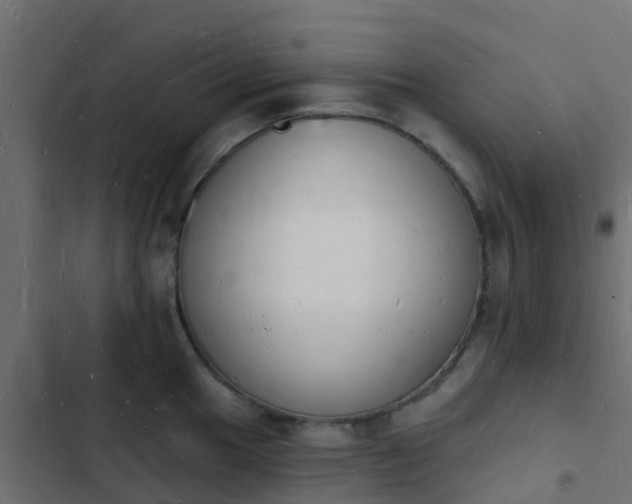 X0000103971049200809261830