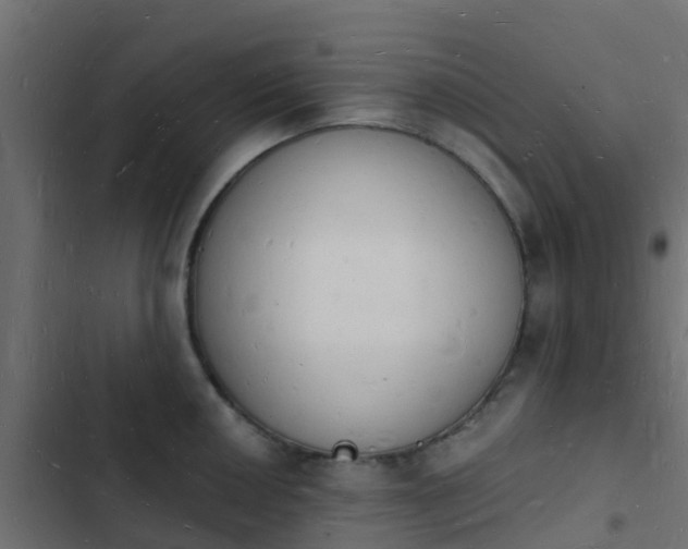 X0000103971050200809261830