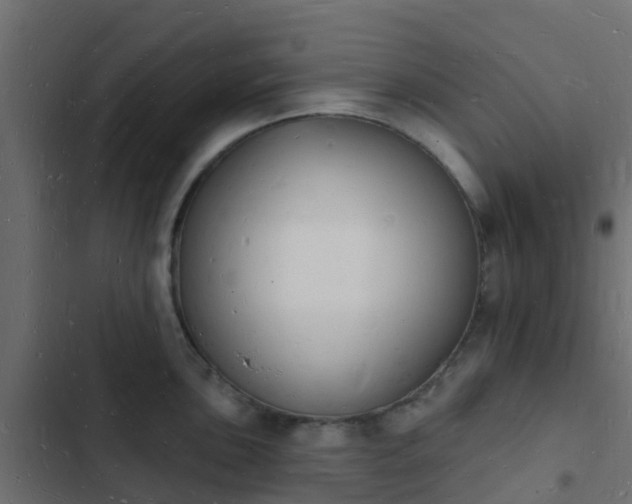 X0000103971051200809261830