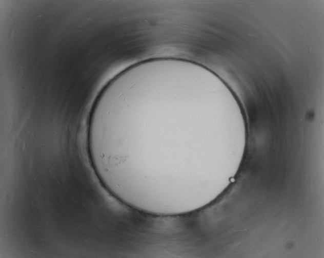 X0000103971053200809261830