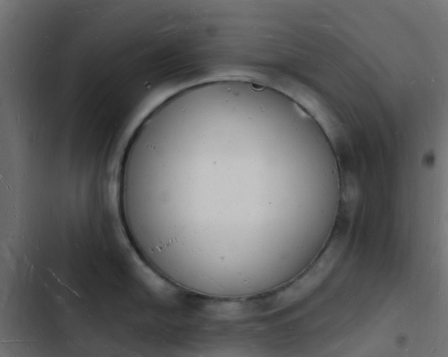 X0000103971054200809261830