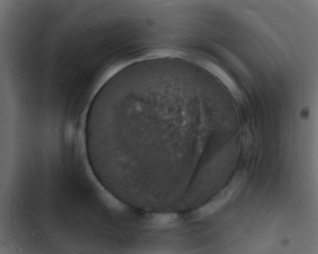 X0000103971055200809261830