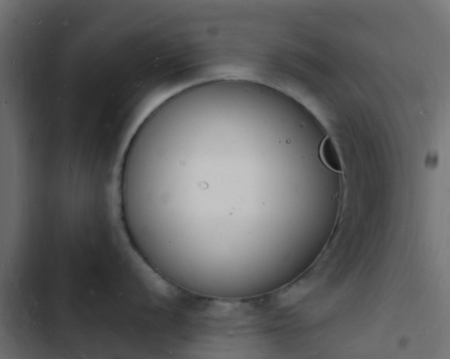 X0000103971056200809261830