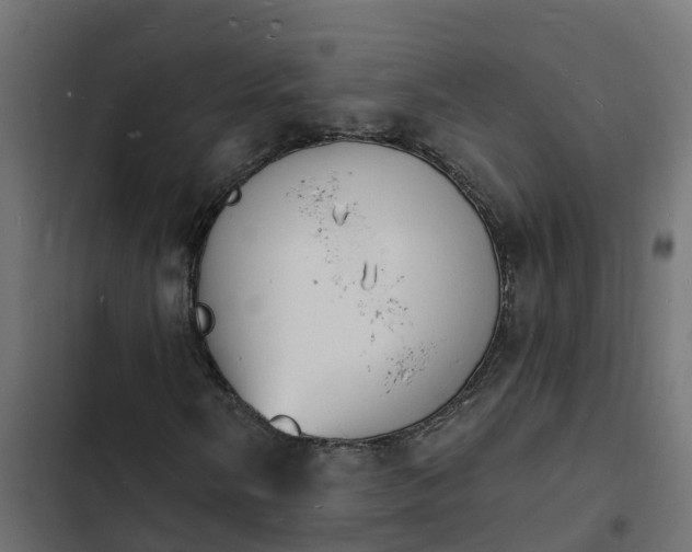 X0000103971058200809261829