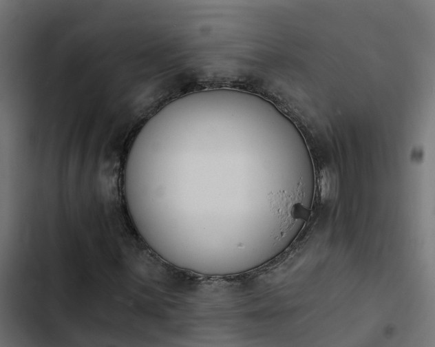 X0000103971059200809261829