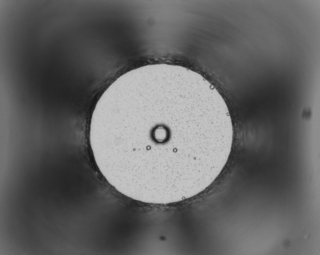 X0000103971060200809261829