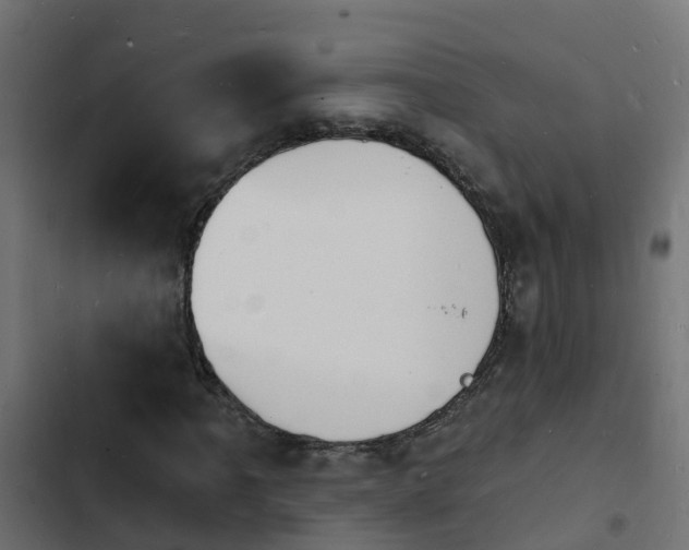 X0000103971061200809261829