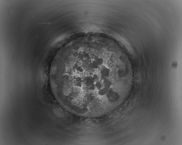 X0000103971063200809261829