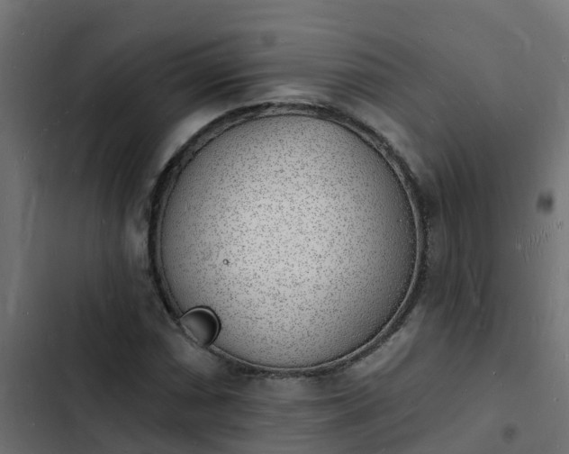 X0000103971066200809261829