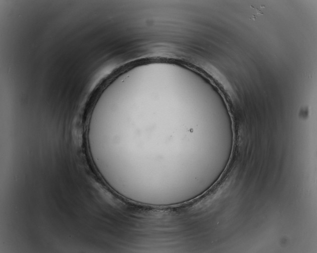 X0000103971067200809261829