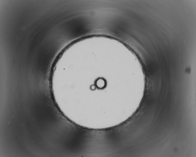 X0000103971068200809261829