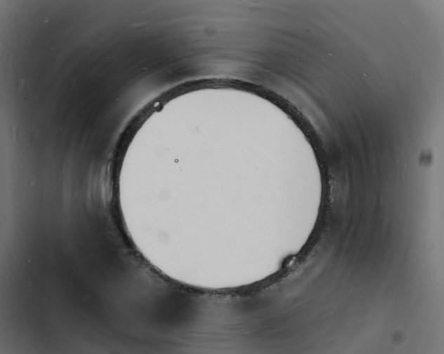 X0000103971069200809261829