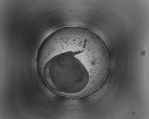 X0000103971071200809261829