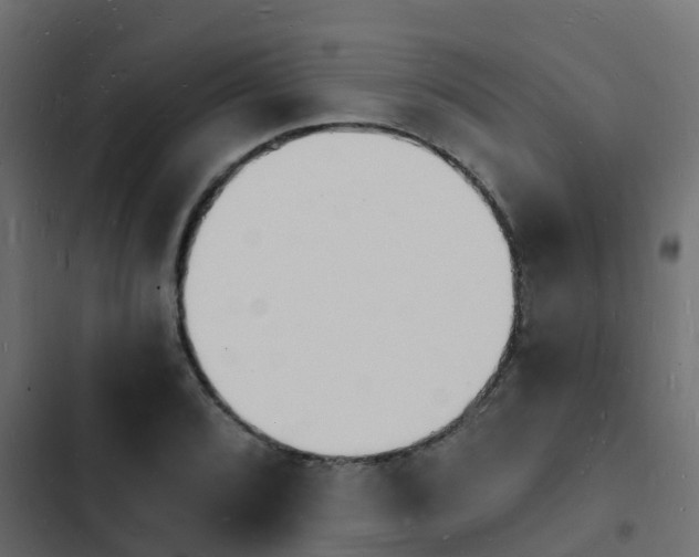 X0000103971072200809261829