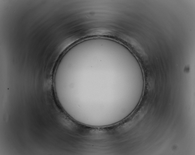 X0000103971073200809261829