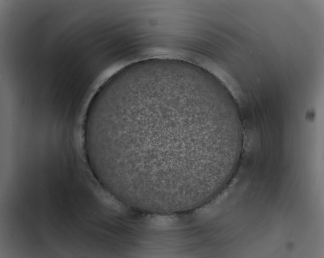 X0000103971074200809261829