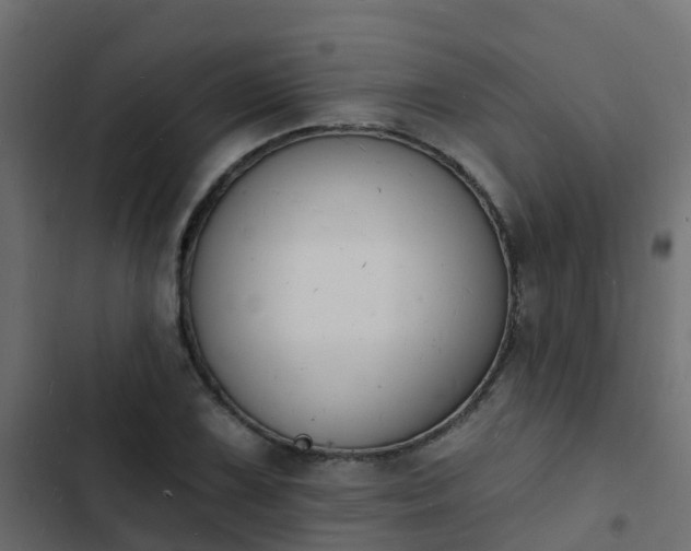 X0000103971075200809261829